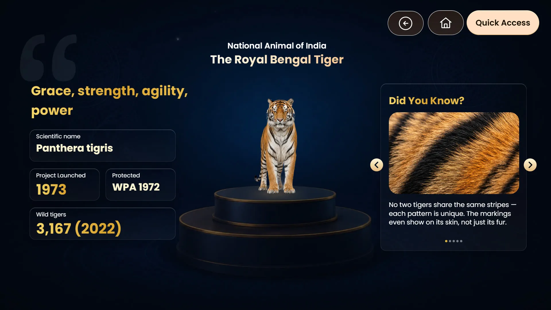 National symbols: the tiger, with facts.