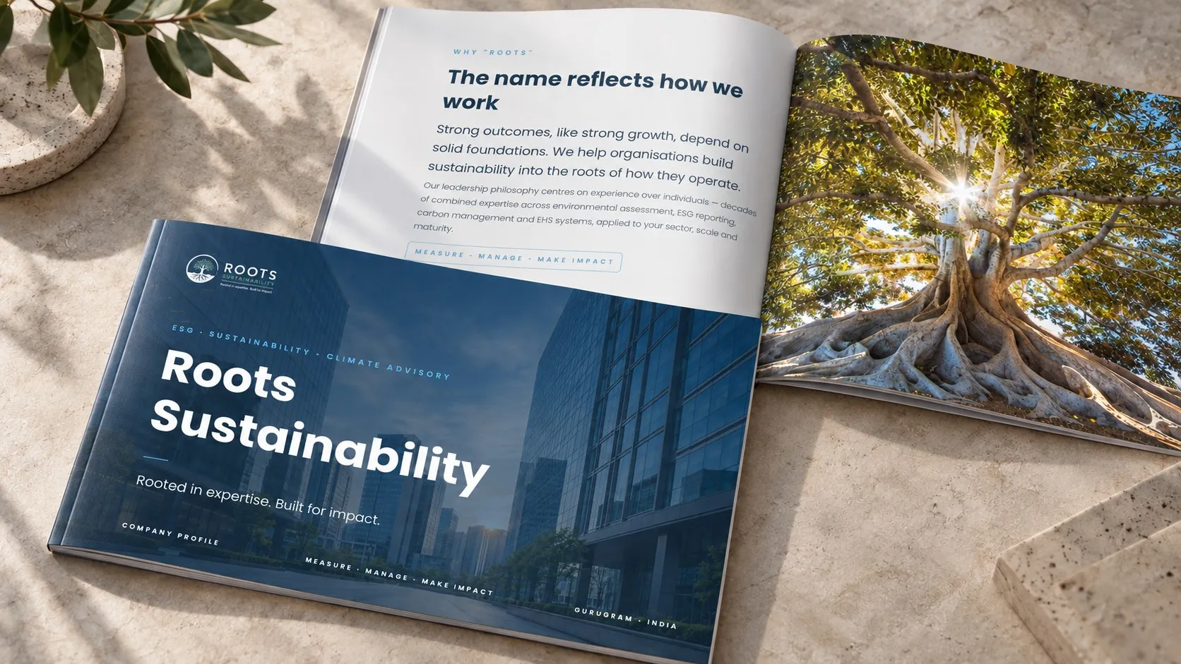The company profile, cover and inside spread.