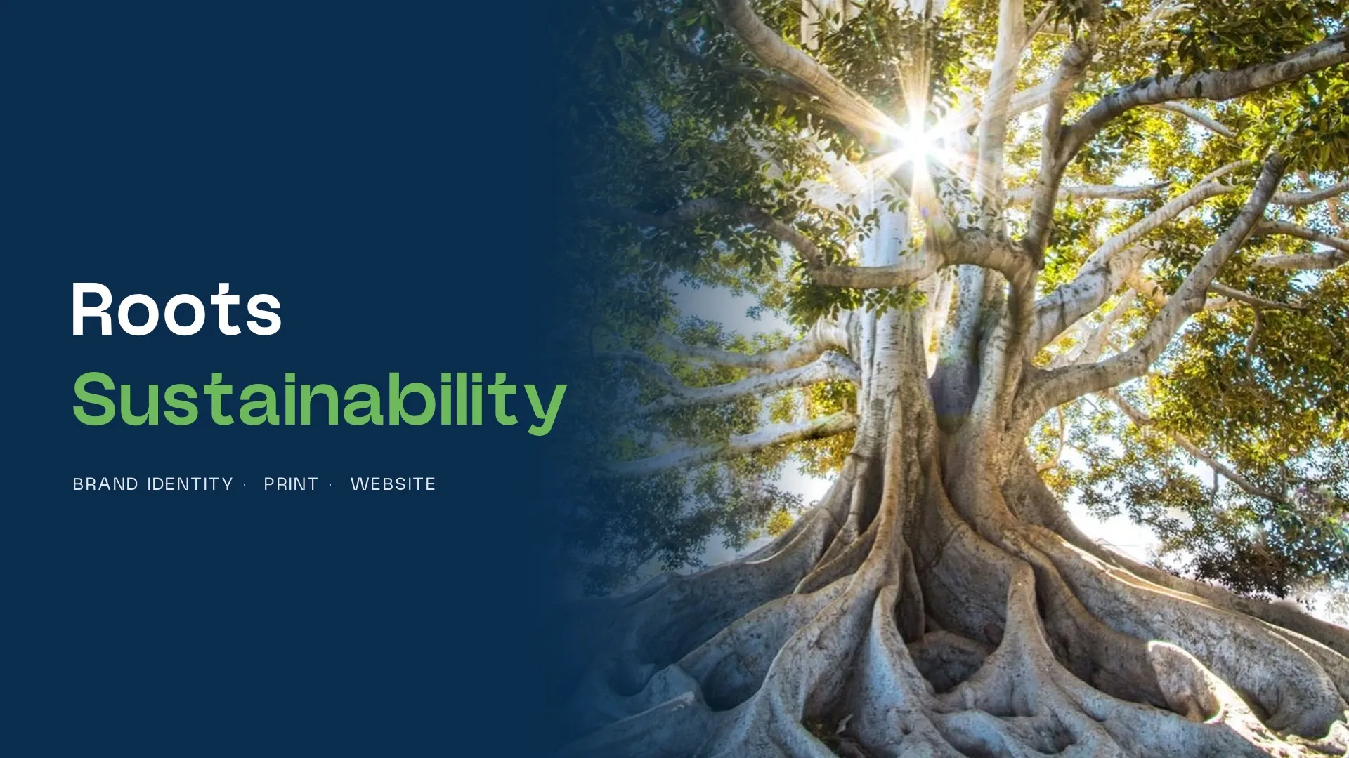 Roots Sustainability, Brand identity and website